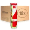 Wilson Team W Practice 18x 4er Dose Im Karton -Sportarten Tennis 0157800000 000