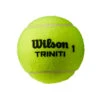 Wilson Triniti 4er Dose -Sportarten Tennis 0162000000 10
